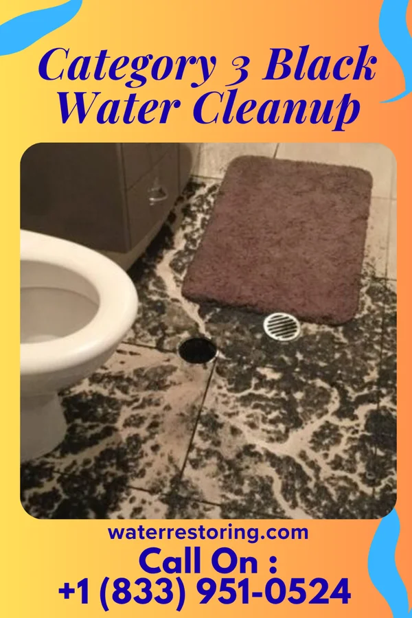 Category 3 Black Water Cleanup in Gorst, WA